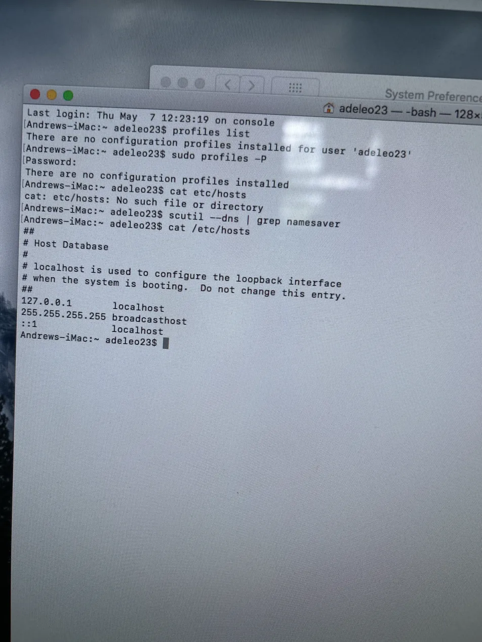 Terminal output showing hosts file contents and DNS check