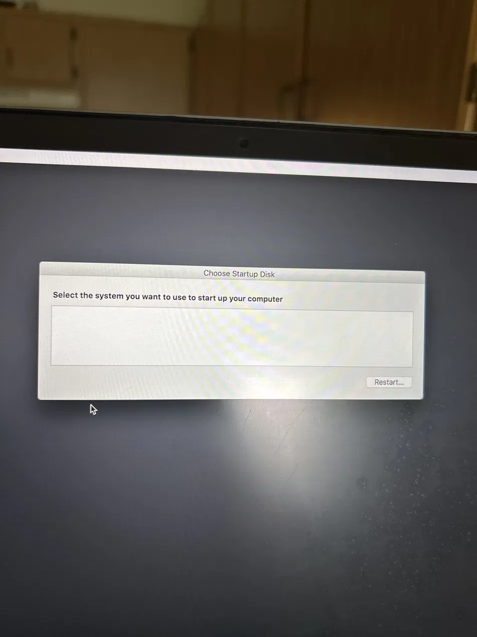 Choose Startup Disk dialog showing no bootable systems found